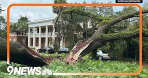 100-year old tree falls on Florida governor's mansion