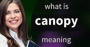Canopy — what is CANOPY definition