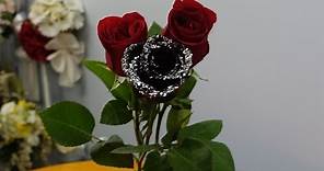 How to make a black rose