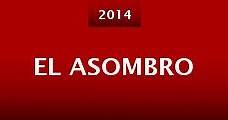 El asombro (2014) Online - Película Completa en Español / Castellano - FULLTV