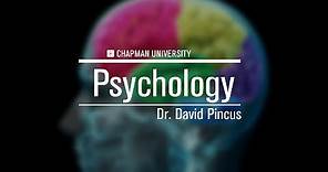 Dr. David Pincus - Psychology, Chapman University