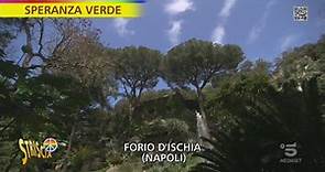 Giardini La Mortella a Forio d’Ischia (NA) - Striscia la notizia