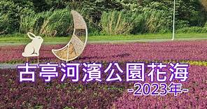 2023古亭河濱公園花海
