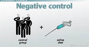 Negative Control Group | Definition & Examples