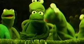 Kermit's Swamp Years (2002 Promotional Screener VHS)
