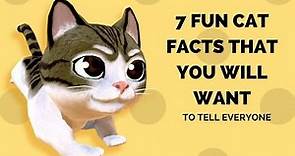 Fun facts about cats for kids amazing facts about cats and kittens you need to know
