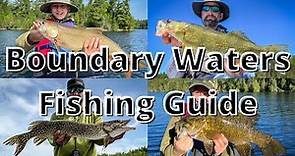 The Ultimate Fishing Guide To The BWCA (species-by-species breakdown!)