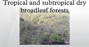 Tropical and subtropical dry broadleaf forests