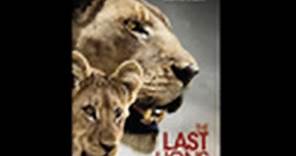 The Last Lions | National Geographic