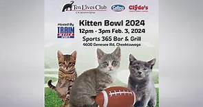 Ten Lives Club Kitten Bowl 2024