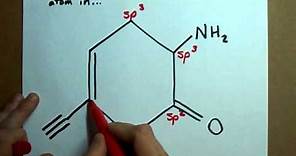 What is the hybridization of each atom in this molecule?