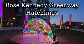Boston MA Seven Hatchlings Rose Kennedy Greenway Full Walk