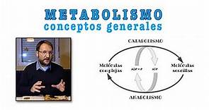 Metabolismo. Conceptos generales