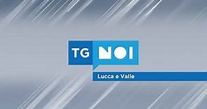 Tg Noi Lucca e Valle | 11/11/2023