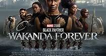 Regarder Black Panther : Wakanda Forever en streaming