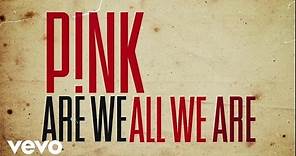 P!nk - Are We All We Are (Official Lyric Video)