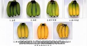 香蕉的品种与区别