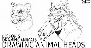 Drawabox Lesson 5, Drawing Animals: Drawing Animal Heads