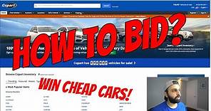 How to Bid on Cars at Copart! + What Broker I Use