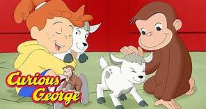 Curious George 🐑 George Goes to the Farm 🚜 Kids Cartoon 🐵 Kids Movies 🐵 Videos for Kids