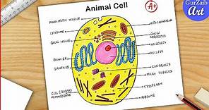 Animal Cell Diagram Drawing CBSE || easy way || labeled Science project - Step by step
