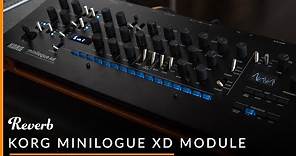 Korg Minilogue XD Module | Reverb Demo
