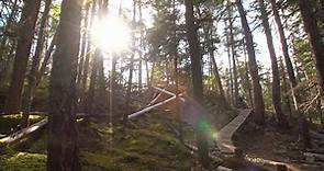 Insider's Guide to Whistler's Bike Trails | Lost Lake