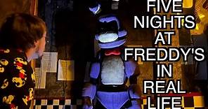 Five Nights at Freddy's In Real Life