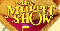 The Muppet Show Season 5 - watch episodes streaming online
