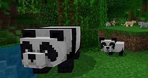 Minecraft Panda's personality and appearance: Everything you need to know