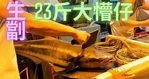 生劏23斤大懵仔（魚仲/懵仲/海鱺）,魚肉滿滿雪花,肉爽而帶超級油香,新鮮生劏果然超級好食😍~fish cutting 香港海鮮~社長遊街市(Hong Kong Seafood Market)