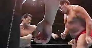 WWE WVR AJPW ANDRE THE GIANT KY WAKAMATSU ANTONIO INOKI UMANOSUKE UEDA 1986 FULLYREMASTERED 4K60FPS