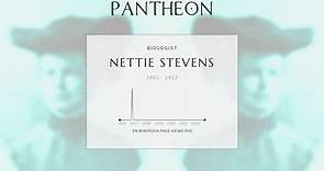 Nettie Stevens Biography - American geneticist (1861–1912)