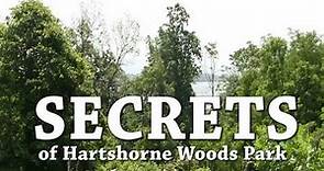 Secrets of Hartshorne Woods Park