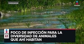 Río Bravo sufre severa contaminación por aguas residuales