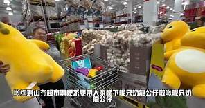 《無篋旅行團》人生第一次參加領華旅遊$299深圳山姆超市購物旅行團下集！！！