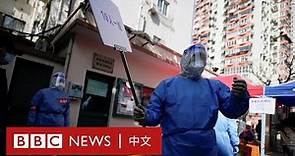 上海疫情：單日新增超兩萬，市民憂慮食物短缺 － BBC News 中文