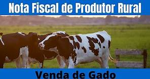 COMO FAZER NOTA FISCAL PRODUTOR RURAL