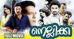 Nellikka | Malayalam Full movie | Family Thriller Movie | Deepak Parambol | Atul Kulkarni