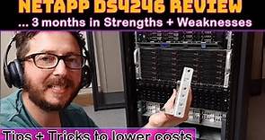 NetApp DS4246 COMPLETE Review