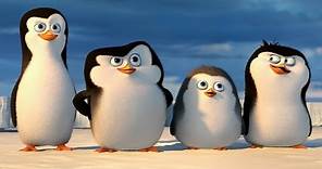 夢工廠動畫【馬達加斯加爆走企鵝】- 企鵝之南極紀錄片 - 台灣