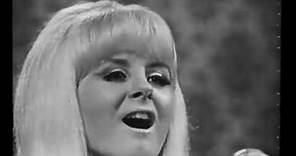 HQ / The New Christy Minstrels Live - Brian Henderson Bandstand 1966 - The Concert