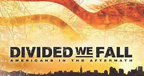 Divided We Fall: Americans in the Aftermath