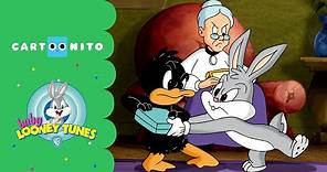 Baby Looney Tunes | Back in the Past | Cartoonito