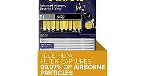 Filtrete by 3M Advanced Allergen, Bacteria Virus True HEPA Air Purifier Filter, F1