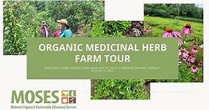 Organic Medicinal Herbs Farm Tour