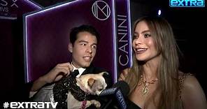 Sofía Vergara on Judging 'AGT,' Plus: Son Manolo's High-End Doggie Fashion Line