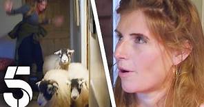 The Sheep Broke Into The House! | Our Yorkshire Farm | Channel 5