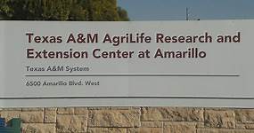 ‘Puts us in the sweet spot’: Texas A&M AgriLife Research and Extension Center moving to Canyon
