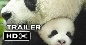 Born in China Official Trailer #1 (2017) - Disneynature Movie HD